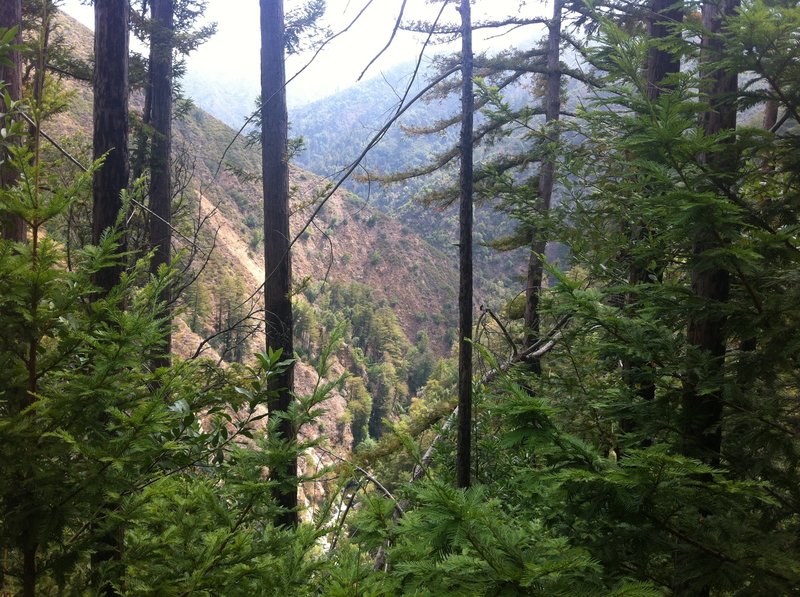 Pine Ridge trail covers some serious terrain.