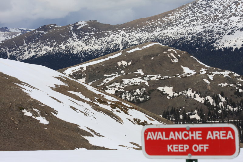 Avalanche Area
