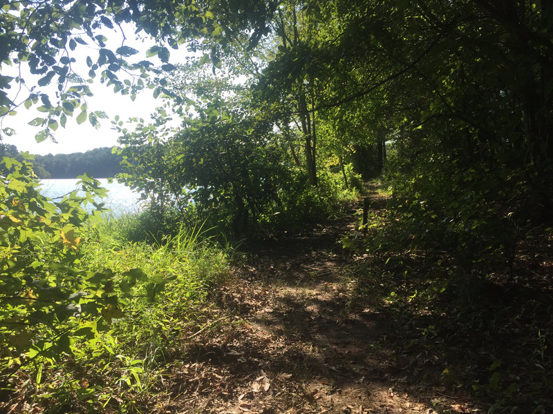 View of the lake as the trail flattens out to lake-level