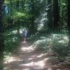 A runner makes his way up the Keil Trail. Bill Cunningham Photo