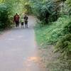 A mother and her two sons enjoying the Lower Macleay Trail. Bill Cunningham Photo