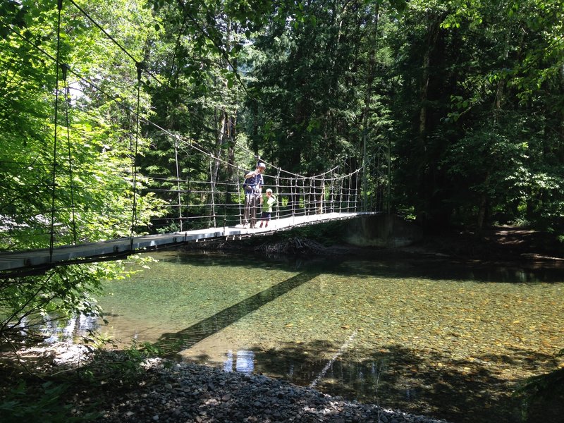 Bridge, Grove of the Patriarchs Trail