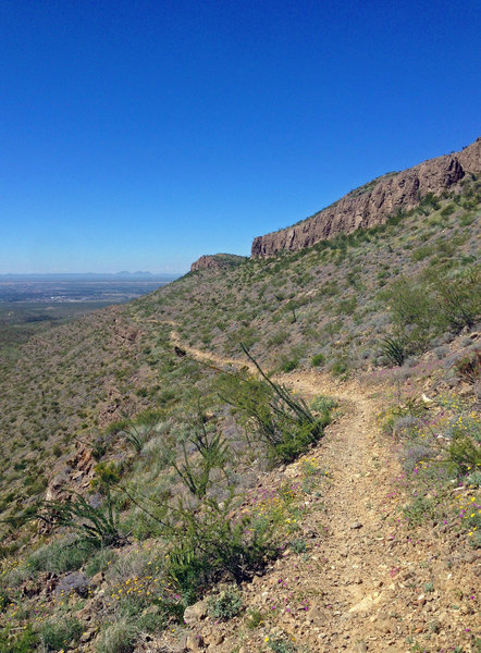 The view along Lower Sunset's cliffside trail. The Florida Mountains are visible in the distance.