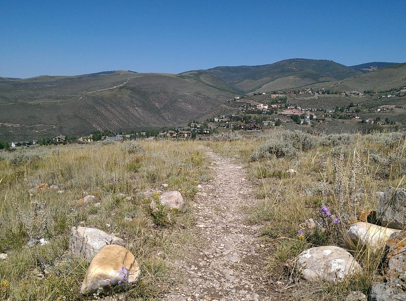 Looking north from the Aspen Grove Way Trail