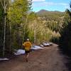 A brief downhill section heading north just before more switchbacks!