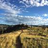 Once forest, now open trails.