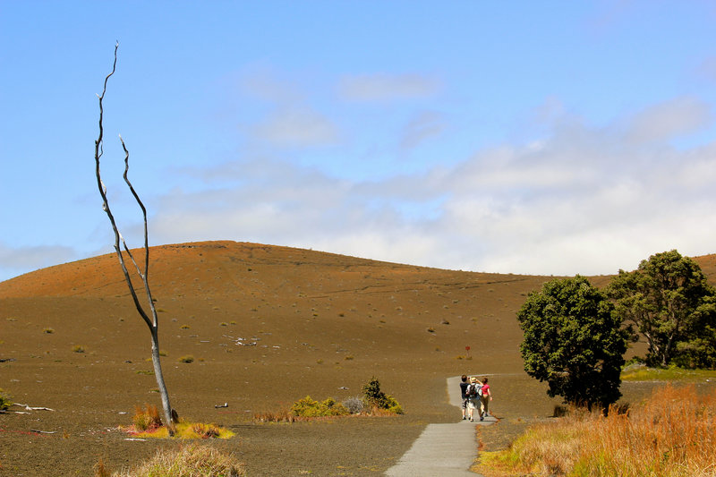 Devastation Trail Hiking Trail, Volcano, Hawaii