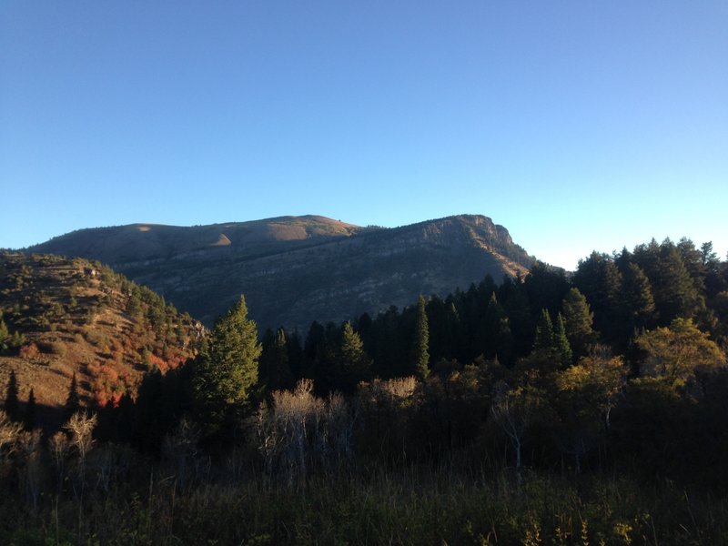 South Fork Millville Canyon FR 023 Hiking Trail, Millville, Utah