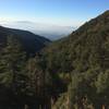 Amazing view coming up Mount Wilson
