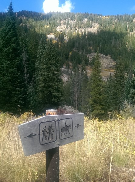 Near the hiker's bridge, there are signs directing hikers and horses to different ways to cross the creek