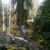 Hikers enjoying the Cross Creek Trail in early fall