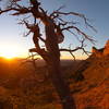 Sunset on the north slope of Mesa Verde