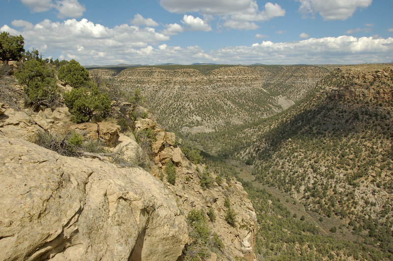 Soda Canyon Overlook Trail Hiking Trail, Towaoc, Colorado