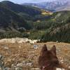 A lake, some colorful leaves and a summit. Three good things to make a run memorable.
