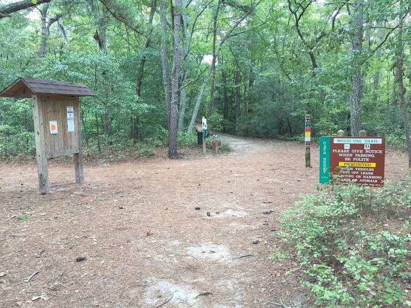 Entry point of Cape Henry Trail from Trail Center at First Landing State Park