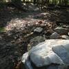Some of the quartz that is present on the Company Mill Trail.