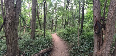 Maybury State Park Trail Map Running Trails Near Maybury State Park