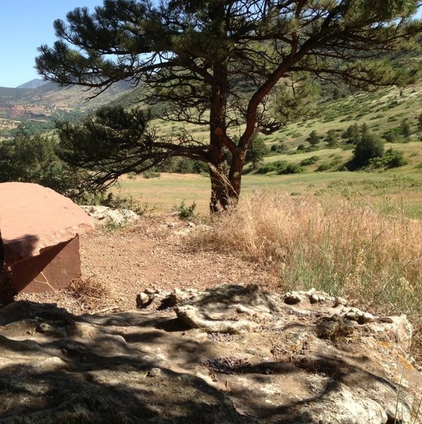 A great resting spot with a little shade.  There's a sign on the rock commemorating the work done by the Boulder Mountain Bike Alliance to build this trail in 2008.