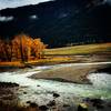 Fall colors in the Lamar Valley near the Specimen Ridge Trail.