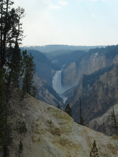 Lower Falls as seen from the North Rim Trail in Yellowstone.