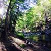 Sunrise along the Big Sur River at the Sykes Hot Springs location.