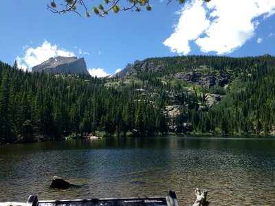 are dogs allowed at bear lake colorado