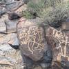 Several of the literally hundreds of petroglyphs just above the third waterfall in "Petroglyph Canyon."