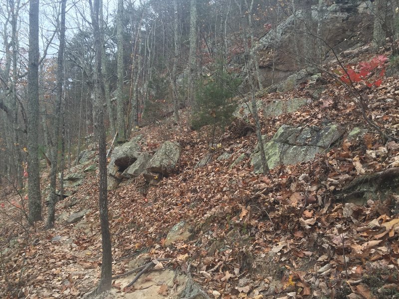 House Mountain has large sandstone boulders along much of the trail.