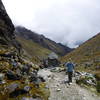 The trail was fairly wide and a little rocky. Trekking poles helped but were not required.
