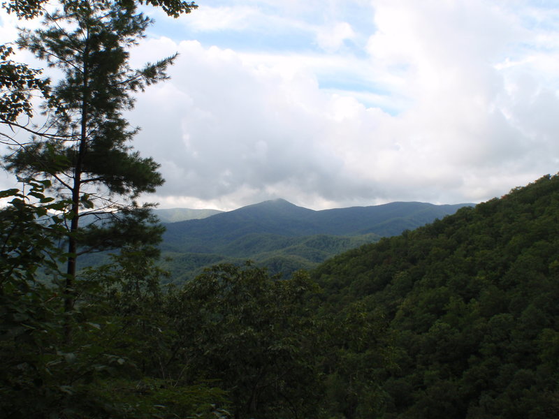 Vista on Laurel Falls Trail. Overlooking The Smoky Mountains.