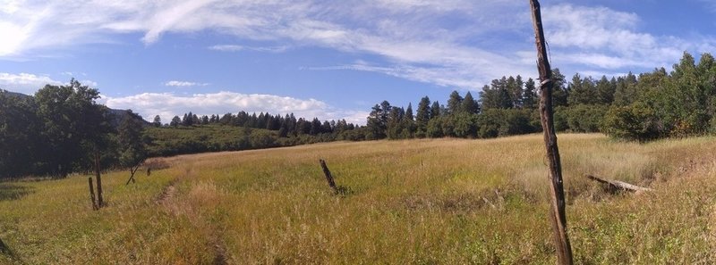 Meadow on Indian Creek Loop.