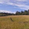 Meadow on Indian Creek Loop.