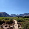 View of one of the boardwalks leading over a drainage along Henrys Fork Trail. Kings Peak is in the background at center right. Gunsight Pass is between the obvious notch at center left. The West Spur of Gilbert Peak is on the left.