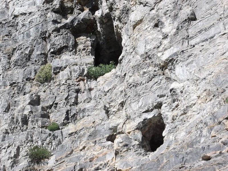 A close up view of some of the cliffs found along the Naomi Peak National Recreation Trail, with some small cavities in the rock