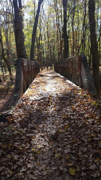 One of a handful of bridges that you'll encounter on the North-South trail.