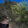 Grab a brochure at the Lost Mine trailhead. There are markers along the trail that offer a informative descriptions.