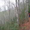 Climbing up hill at the start of the Boogerman Trail.