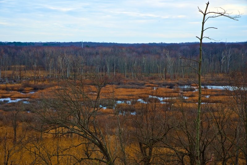 View of the Great Marsh.