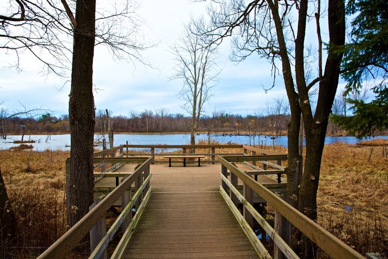 The marsh overlook on the Great Marsh Trail is an