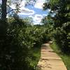Boardwalks wind down the Marsh Trail.