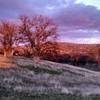 Setting winter sun looking east where the Buckridge trail loops through the hills and trees.