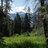 Lower Tent Meadow
