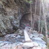 Log Bridge on Alum Cave Trail.