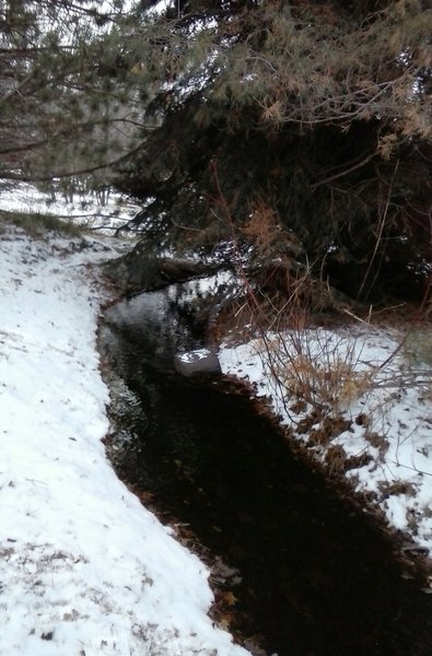 The creek with some fresh fallen snow on the side.