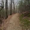 Nearly all of the Mount Joy trail is well maintained hard pack surface two people wide