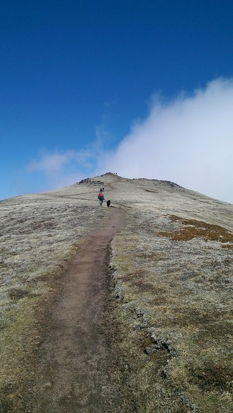 Trail to the summit.