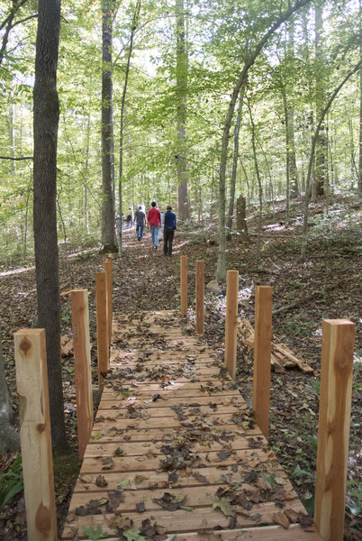 The cedar bridges, handcrafted from local cedar by TLC staff, are great to have around Horton Grove Nature Preserve, especially when it's been raining.