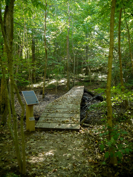 Boardwalks allow you to cross the bottomland floodplains without getting your feet too wet though still expect some water on the trails throughout the year.