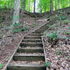 The stairway up the Beech Bluff is short, but steep. Take a moment at the top to catch your breath and enjoy the view!