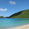 Francis Bay.